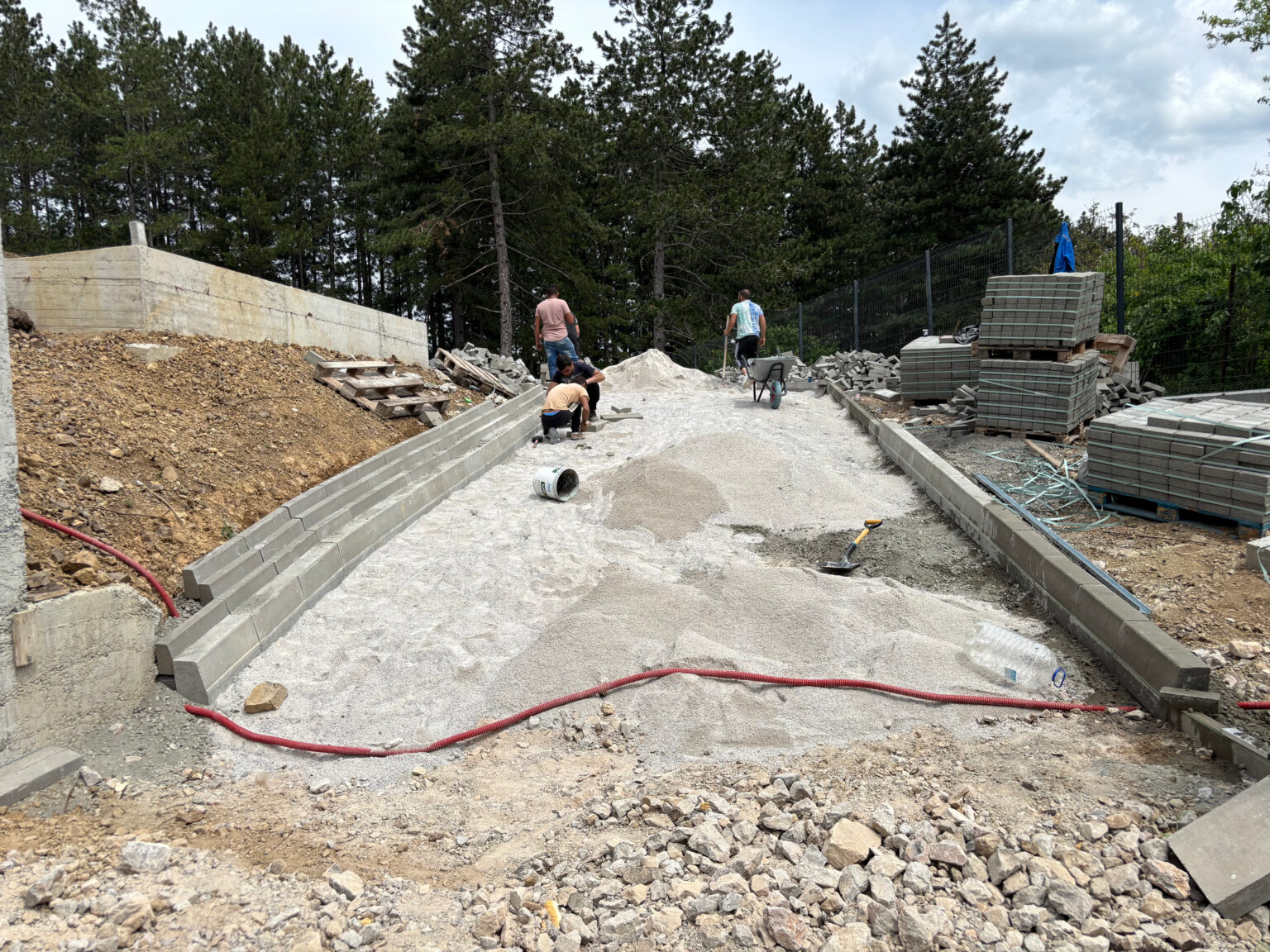 Вертикална 11